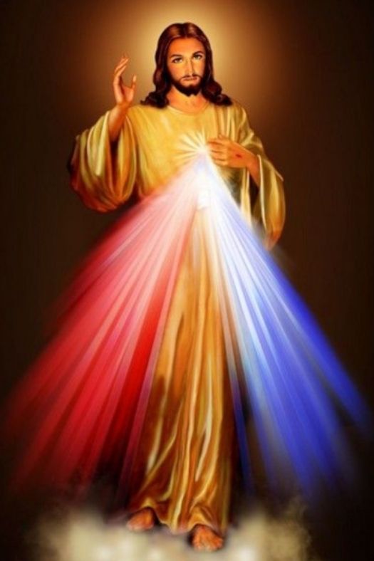 Chaplet of Divine Mercy Plastic Prayer Card