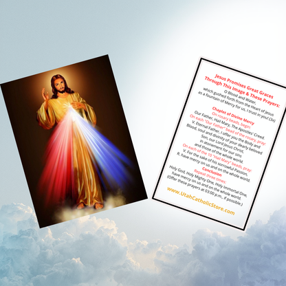 Chaplet of Divine Mercy Plastic Prayer Card